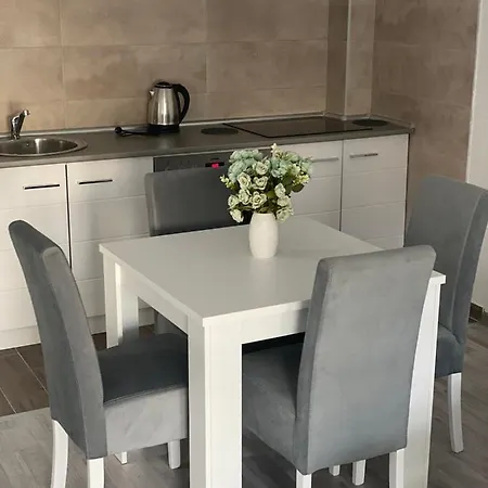 Milic Apartment Banja Koviljaca