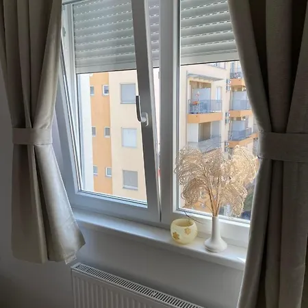 Milic Apartment *
