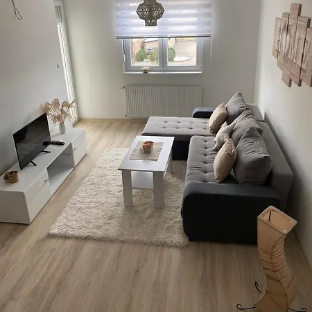 Apartment Milic Banja Koviljaca
